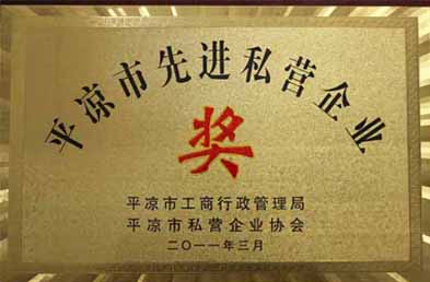平涼先進私營企業(yè)　